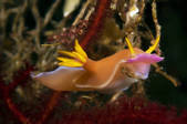 tkm001_546148