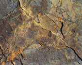 tkm001_546629