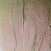 tkm001_546883