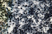 tkm001_590406
