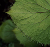 tkm001_591199