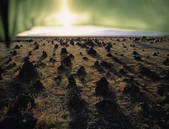 tkm001_593018