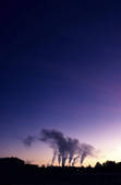 tkm001_593227