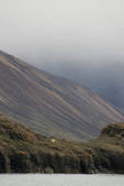 tkm001_595077