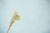 tkm001_595907