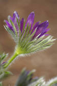 tkm001_602271
