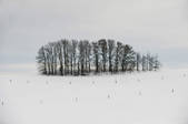 tkm001_640681