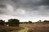 tkm001_658215