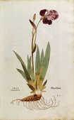 tkm001_759601