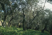tkm001_765557