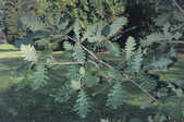 tkm001_768863