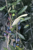 tkm001_768898