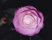 tkm001_769145