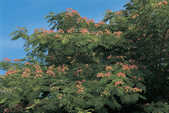 tkm001_770075