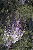 tkm001_770079