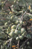 tkm001_770376