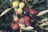 tkm001_770477