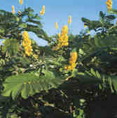 tkm001_770501