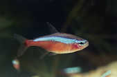 tkm001_772008