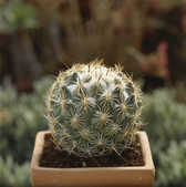 tkm001_775056