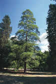tkm001_776750