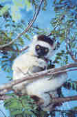 tkm001_778536