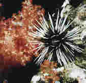 tkm001_780060