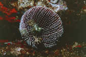 tkm001_780083