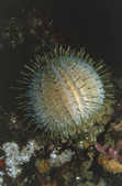 tkm001_780220