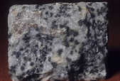 tkm001_781151
