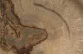 tkm001_783093