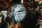 tkm001_784521
