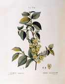tkm001_784727