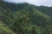 tkm001_785361