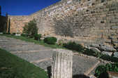 tkm001_786893
