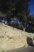 tkm001_786916