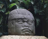 tkm001_793985