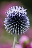 tkm001_800786