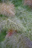tkm001_800956