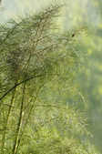 tkm001_801360
