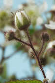 tkm001_802999