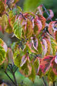 tkm001_803052