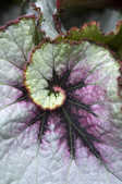 tkm001_803521