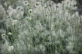 tkm001_804069