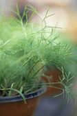 tkm001_805187