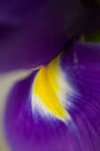 tkm001_805622