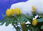 tkm001_806091