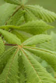 tkm001_807382