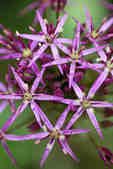 tkm001_808199