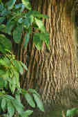 tkm001_808343